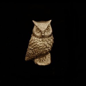Screech Owl Box