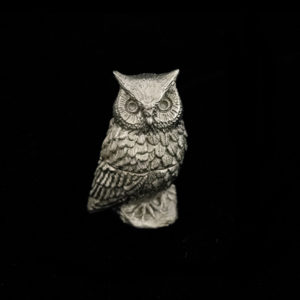 Screech Owl Box