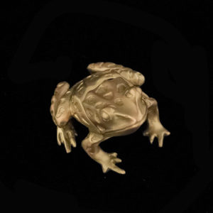 Leopard Frog Box