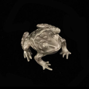 Leopard Frog Box