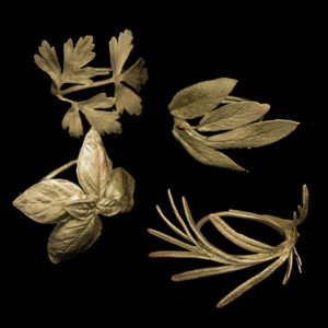 Italian Herb  -  Assorted Napkin Rings