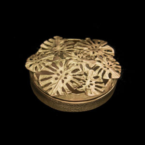 Monstera Box
