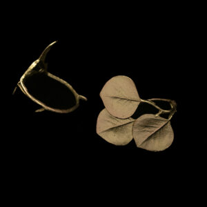 Round Leaf Eucalyptus Napkin Rings